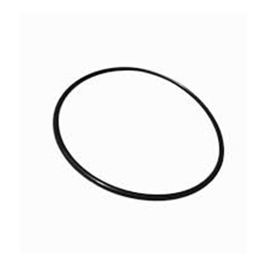 O-Ring 10074771