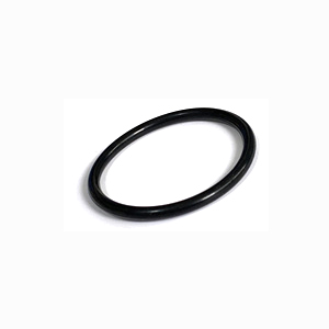 O-Ring 10074821